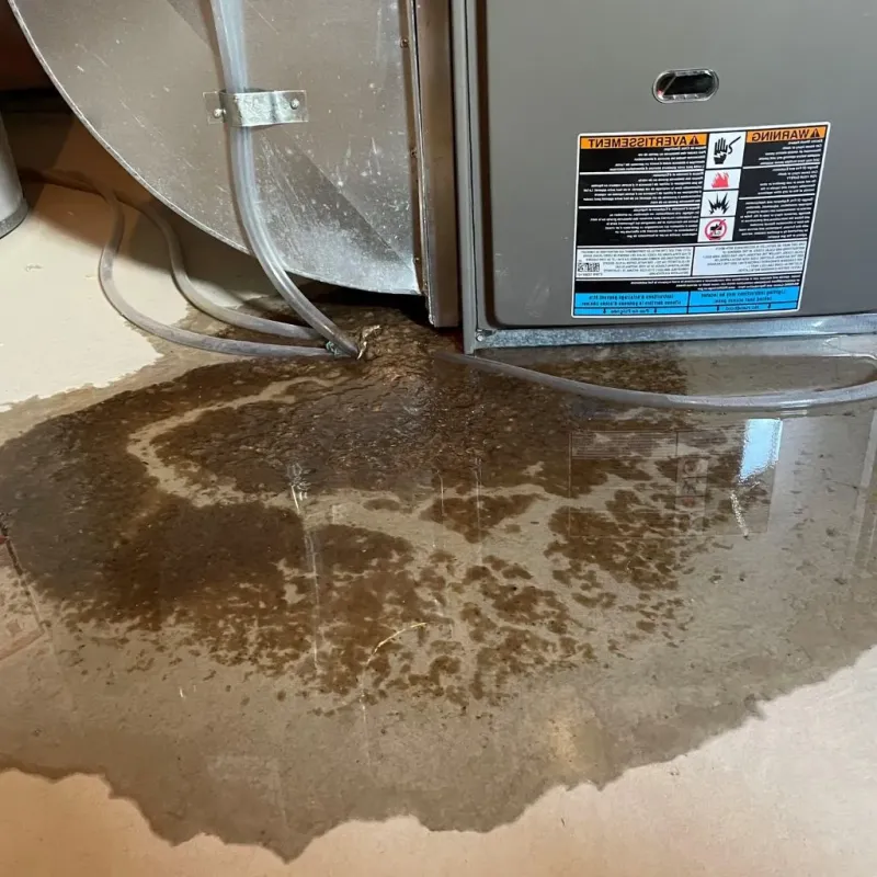 Pipe Burst and Leak Restoration in View Park-Windsor Hills, CA